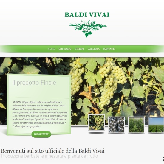 Sito Baldi Vivai
