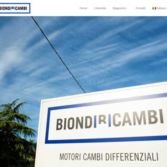 Biondi Ricambi