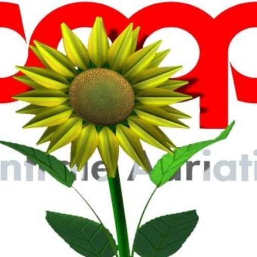 Coop Centrale Adriatica