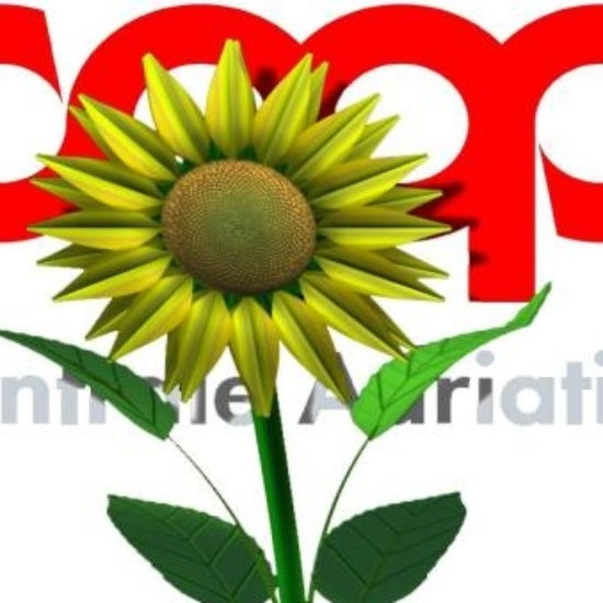 Coop Centrale Adriatica