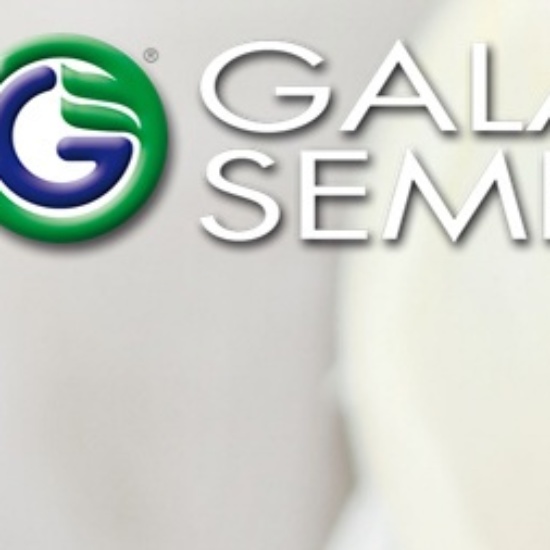Galassi Sementi Srl