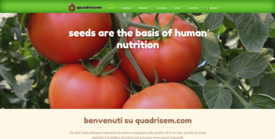 Nuovo sito Quadrisem Srl