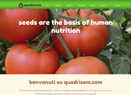 Nuovo sito Quadrisem Srl